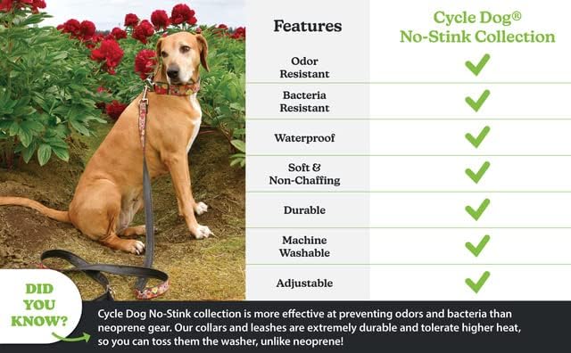 Döngüsü Köpek Kartal Gündoğumu Şişe açacağı Köpek tasması (Yağlı, Büyük, 17-27) - Köpekler ve Yavru Köpekler için