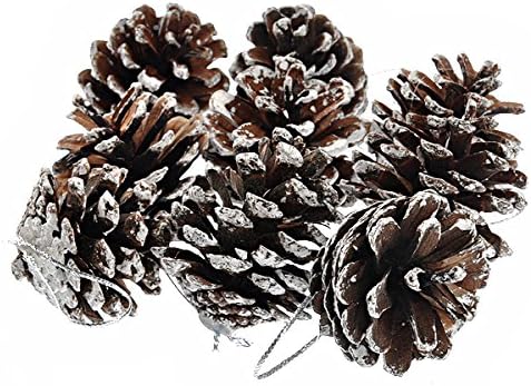 Noel Süslemeleri Amosfun Noel Ağacı Dekoratif Doğal Çam Kozalağı Çam Fıstığı Noel Dekorasyon-9 adet/takım (Gümüş)