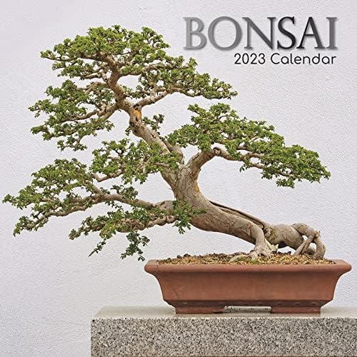 2023 Kare Duvar Takvimi, Bonsai, 180 Hatırlatıcı Çıkartmalı 16 Aylık Çiçek Teması (12x12 İnç)