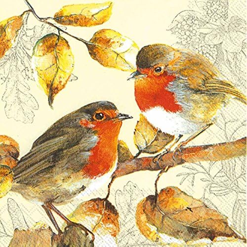 İdeal Ev Aralığı 20 Adet Kokteyl Peçetesi, Red Robins Duet