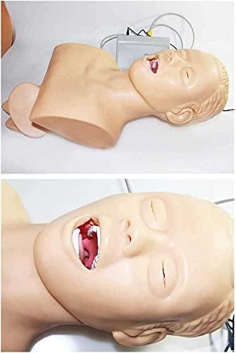 FOCCAR Oral Burun Entübasyon Mankeni Diş Alarm Cihazı Havayolu Yönetimi Hemşirelik Eğitimi için model beyin