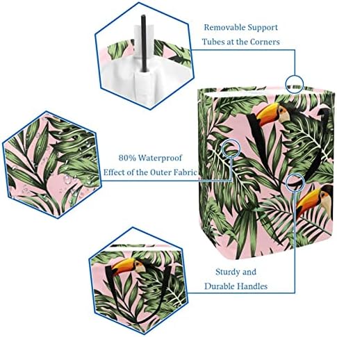 Papağanlar Palmiye Yaprakları Orman Baskı Katlanabilir çamaşır sepeti, 60L Su Geçirmez çamaşır sepetleri Çamaşır Kutusu