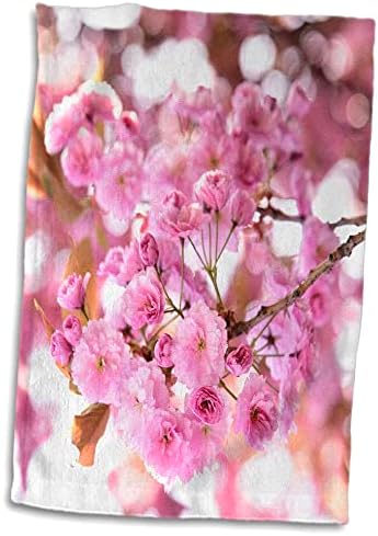 3dRose Havlu, Pembe Kiraz Çiçekleri Sakura