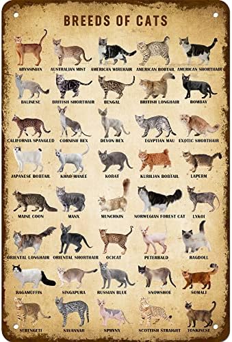 Vintage Kediler Irkları Metal İşareti Retro Tipi Kediler İşaretleri Duvar Dekor Posteri Duvar Sanatı Bar Süslemeleri