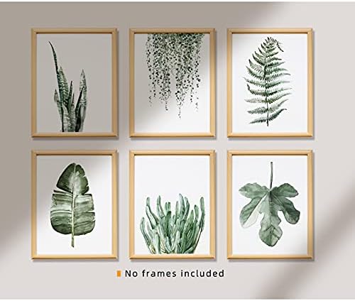 Bitki Baskılar Çerçevesiz Posterler Duvar Sanatı Oturma Odası Dekor için, 8x10 Poster Tuval Baskılar 6 Set, botanik