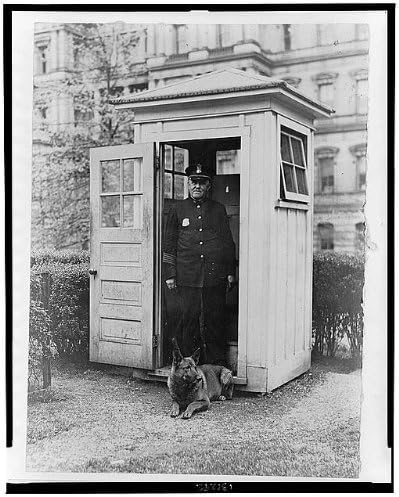 Tarihsel Bulgular Fotoğraf: King TUT, Başkanın Belçika Polis Köpeği, Görevler, Beyaz Saray, Düzenli Turlar, 1929