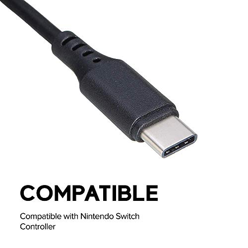 Nintendo Anahtarı için Wiresmith Şarj Kablosu USB Tip C-6 feet