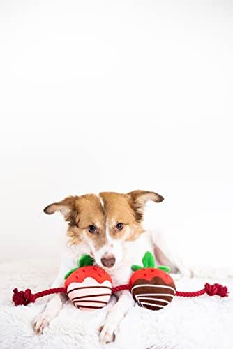 Pearhead Pet Sen Berry Sevimli Peluş ve İp Köpek Oyuncağısın, Sevgililer Günü Şenlikli Squeaker Köpek Oyuncağı, İnteraktif